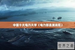 中国十大电力大学（电力部直属高校）
