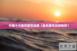 中国十大帆布腰带品牌（帆布腰带品牌推荐）