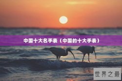 中国十大名手表（中国的十大手表）