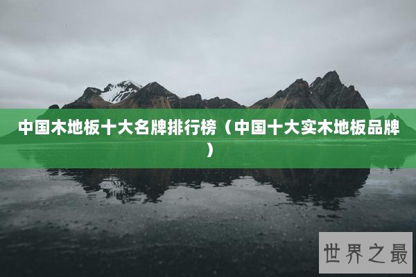 中国木地板十大名牌排行榜（中国十大实木地板品牌）