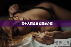 中国十大铜企业的简单介绍