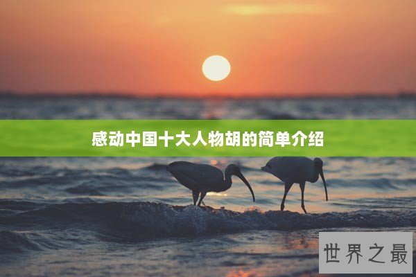 感动中国十大人物胡的简单介绍