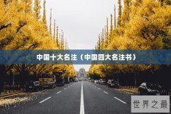 中国十大名注（中国四大名注书）