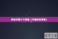 感动中国十大老板（中国知名老板）