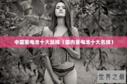 中国蓄电池十大品牌（国内蓄电池十大名牌）