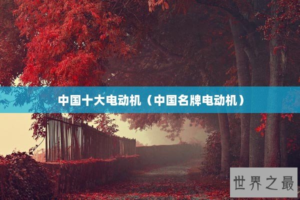 中国十大电动机（中国名牌电动机）