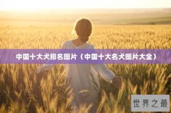 中国十大犬排名图片（中国十大名犬图片大全）