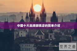 中国十大品牌眼镜店的简单介绍