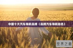 中国十大汽车导航品牌（品牌汽车导航排名）