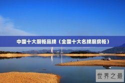 中国十大厨柜品牌（全国十大名牌厨房柜）