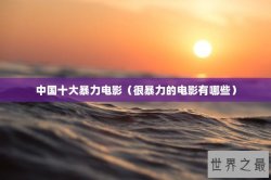 中国十大暴力电影（很暴力的电影有哪些）