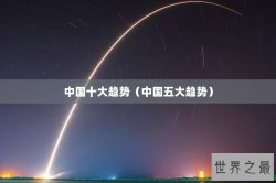 中国十大趋势（中国五大趋势）