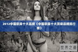 2012中国软床十大品牌（中国软床十大顶级品牌排行榜）
