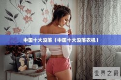 中国十大没落（中国十大没落农机）