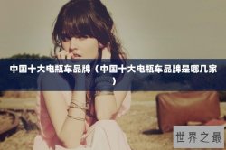 中国十大电瓶车品牌（中国十大电瓶车品牌是哪几家）