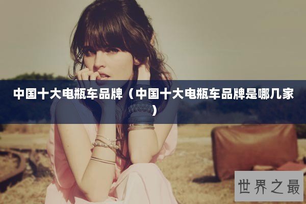 中国十大电瓶车品牌（中国十大电瓶车品牌是哪几家）
