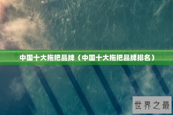 中国十大拖把品牌（中国十大拖把品牌排名）