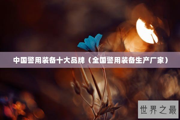 中国警用装备十大品牌（全国警用装备生产厂家）