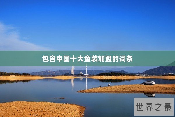 包含中国十大童装加盟的词条