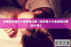 中国拉杆箱十大名牌排行榜（拉杆箱十大名牌排行榜2021年）