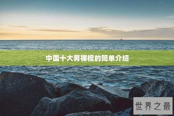 中国十大男裸模的简单介绍