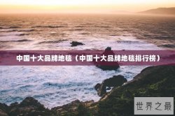 中国十大品牌地毯（中国十大品牌地毯排行榜）