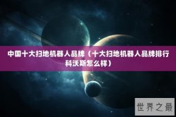 中国十大扫地机器人品牌（十大扫地机器人品牌排行科沃斯怎么样）