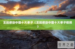 王凯感动中国十大孝子（王凯感动中国十大孝子视频）