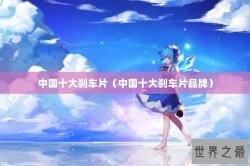 中国十大刹车片（中国十大刹车片品牌）