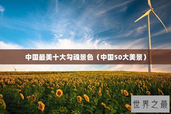 中国最美十大勾魂景色(中国50大美景) 中国最美十大勾魂景色(中国50大美景)