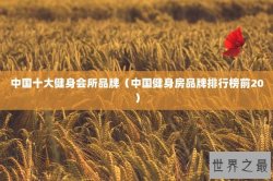 中国十大健身会所品牌（中国健身房品牌排行榜前20）