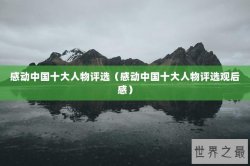 感动中国十大人物评选（感动中国十大人物评选观后感）