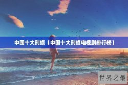 中国十大刑侦（中国十大刑侦电视剧排行榜）