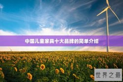 中国儿童家具十大品牌的简单介绍