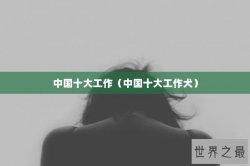 中国十大工作（中国十大工作犬）