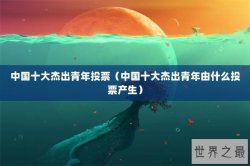 中国十大杰出青年投票（中国十大杰出青年由什么投票产生）
