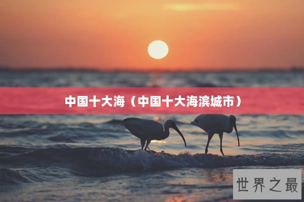 中国十大海（中国十大海滨城市）