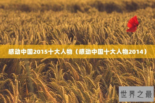 感动中国2015十大人物（感动中国十大人物2014）