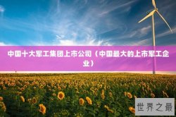 中国十大军工集团上市公司（中国最大的上市军工企业）