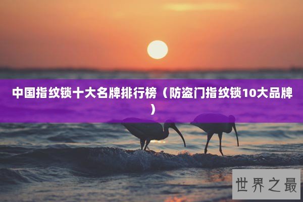 中国指纹锁十大名牌排行榜（防盗门指纹锁10大品牌）