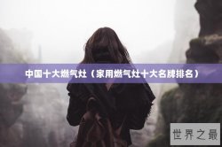 中国十大燃气灶（家用燃气灶十大名牌排名）