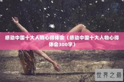 感动中国十大人物心得体会（感动中国十大人物心得体会300字）