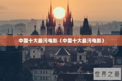 中国十大最污电影（中国十大最污电影）