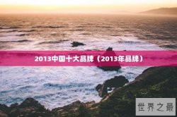 2013中国十大品牌（2013年品牌）