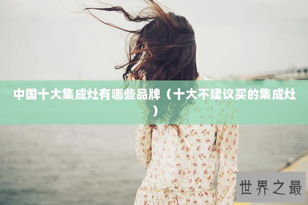 中国十大集成灶有哪些品牌（十大不建议买的集成灶）