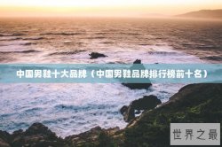 中国男鞋十大品牌（中国男鞋品牌排行榜前十名）