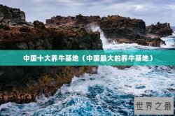 中国十大养牛基地（中国最大的养牛基地）