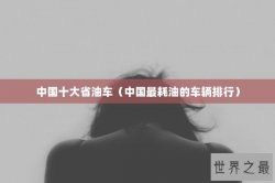 中国十大省油车（中国最耗油的车辆排行）