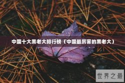 中国十大黑老大排行榜（中国最厉害的黑老大）