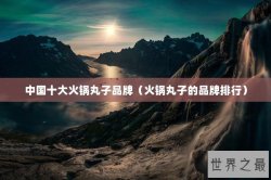 中国十大火锅丸子品牌（火锅丸子的品牌排行）